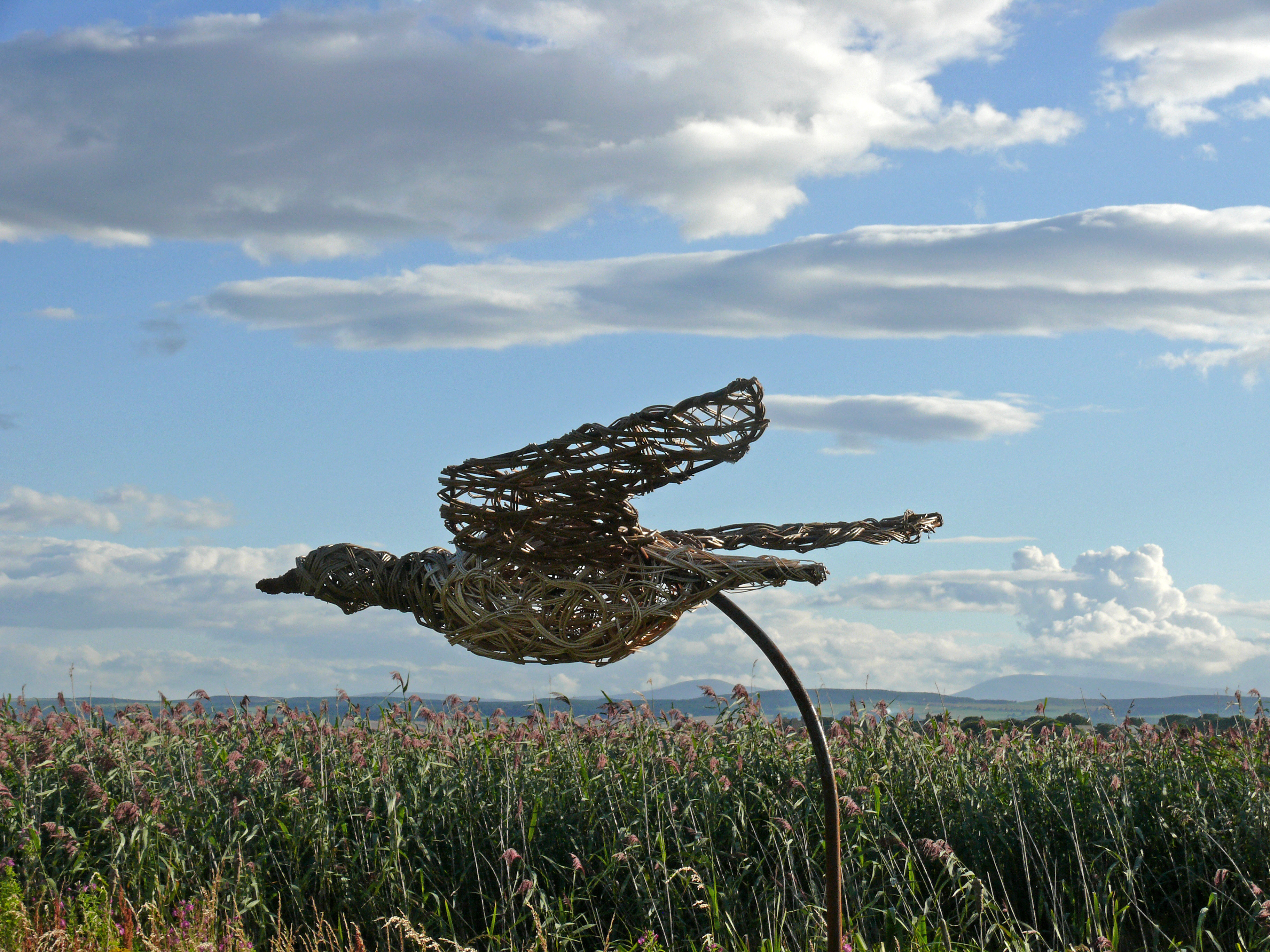 Willow sculptures for the Lindisfarne Nature Trail 