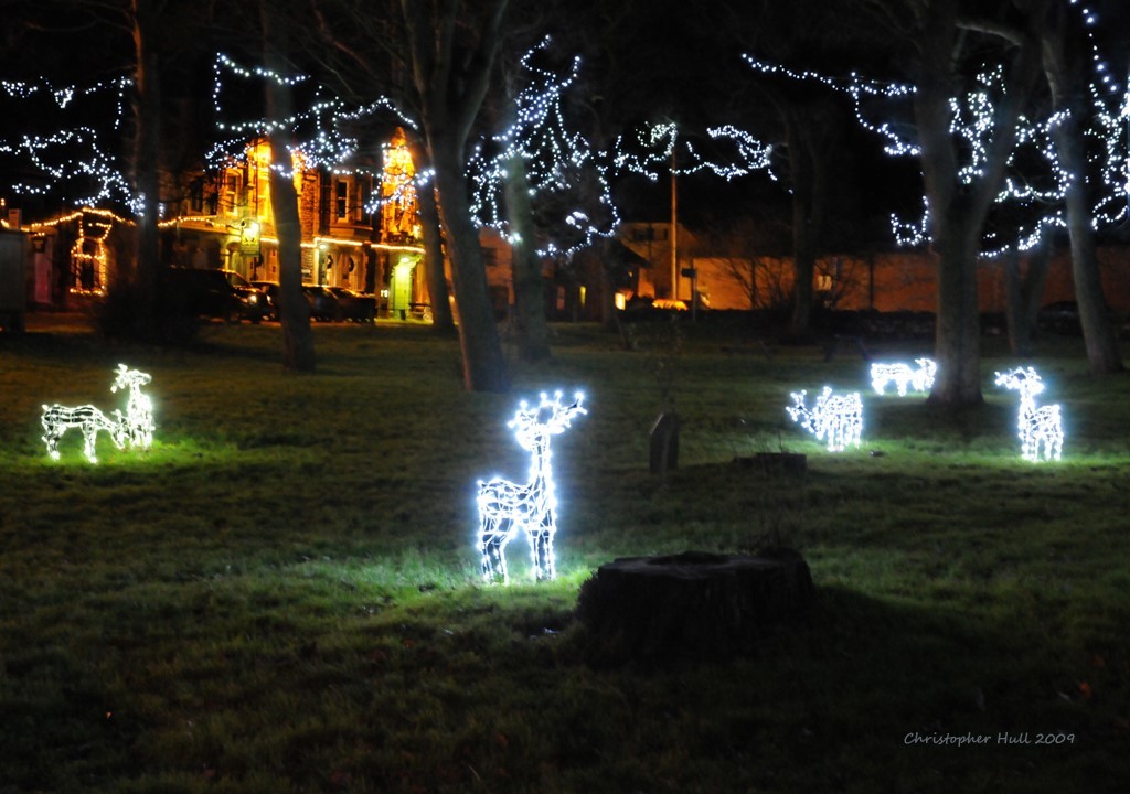 Christmas Lights