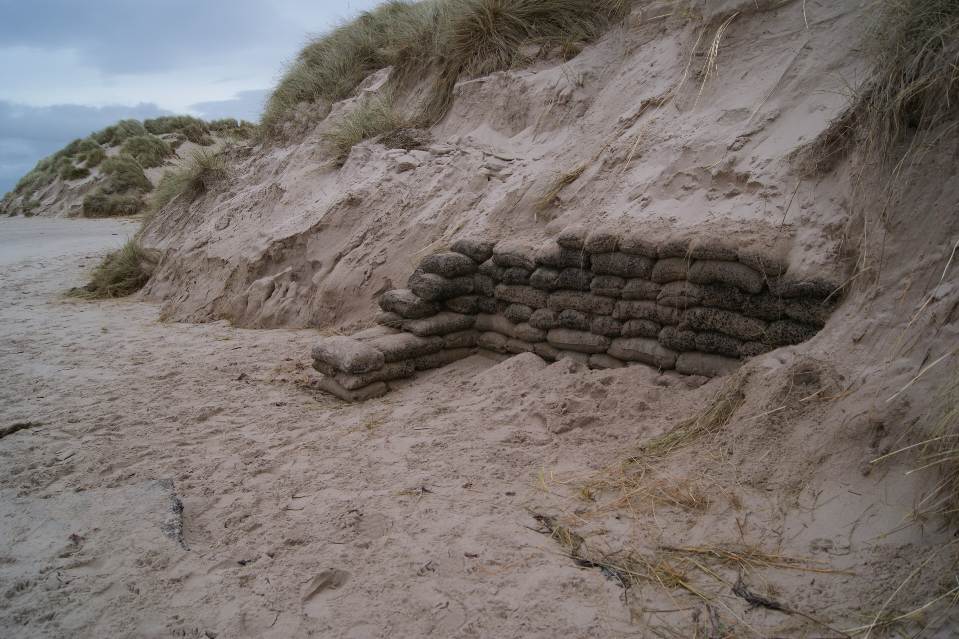 History revealed by Tidal Surge